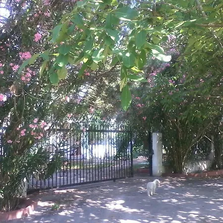 Garden Valentina Holiday home Stavros (Thessaloniki)
