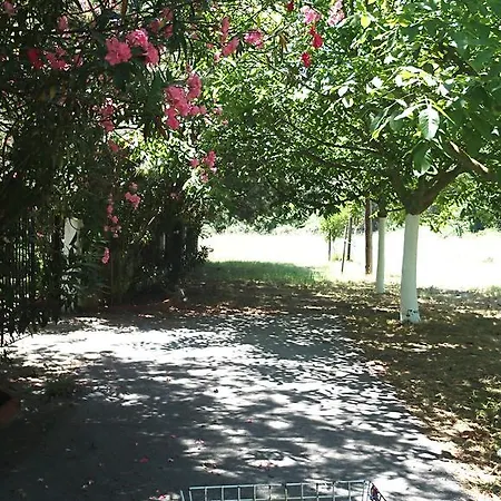 Holiday home Garden Valentina Stavros (Thessaloniki)
