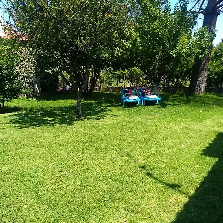 Garden Valentina Holiday home *