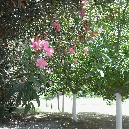 Garden Valentina Σπίτι διακοπών *