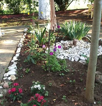 Garden Valentina