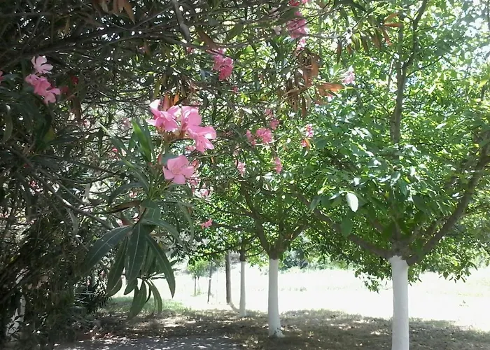 Garden Valentina Vakantiehuis *