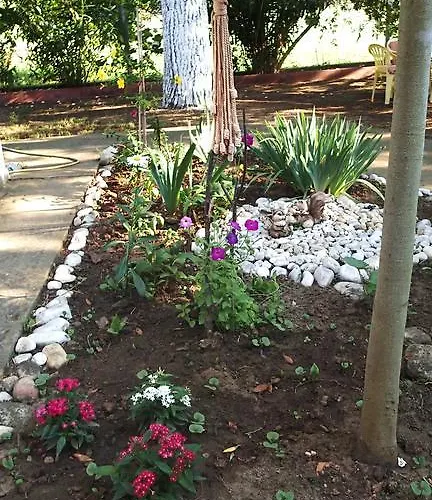 Garden Valentina